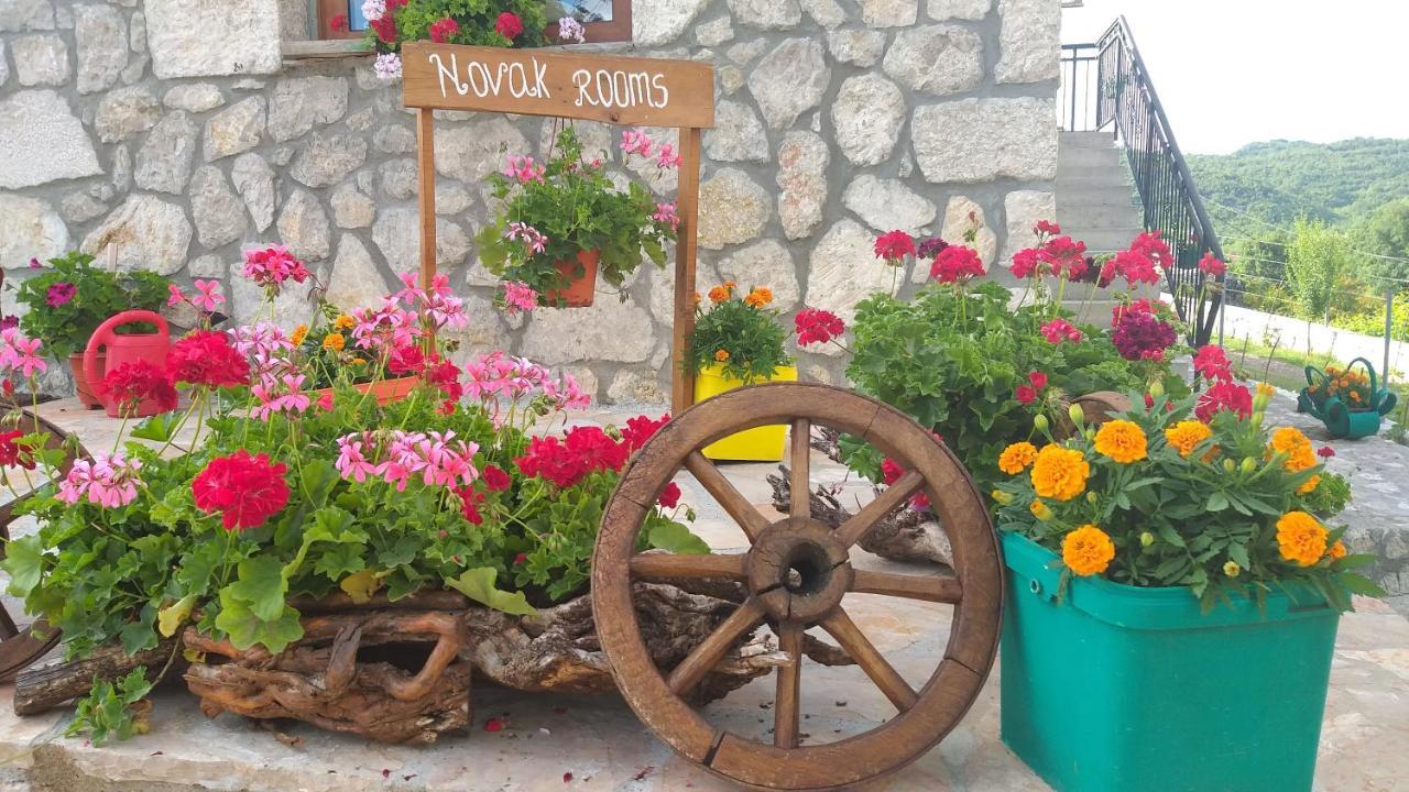 Village House - Novak Rijecani Rijeka Crnojevića Екстериор снимка