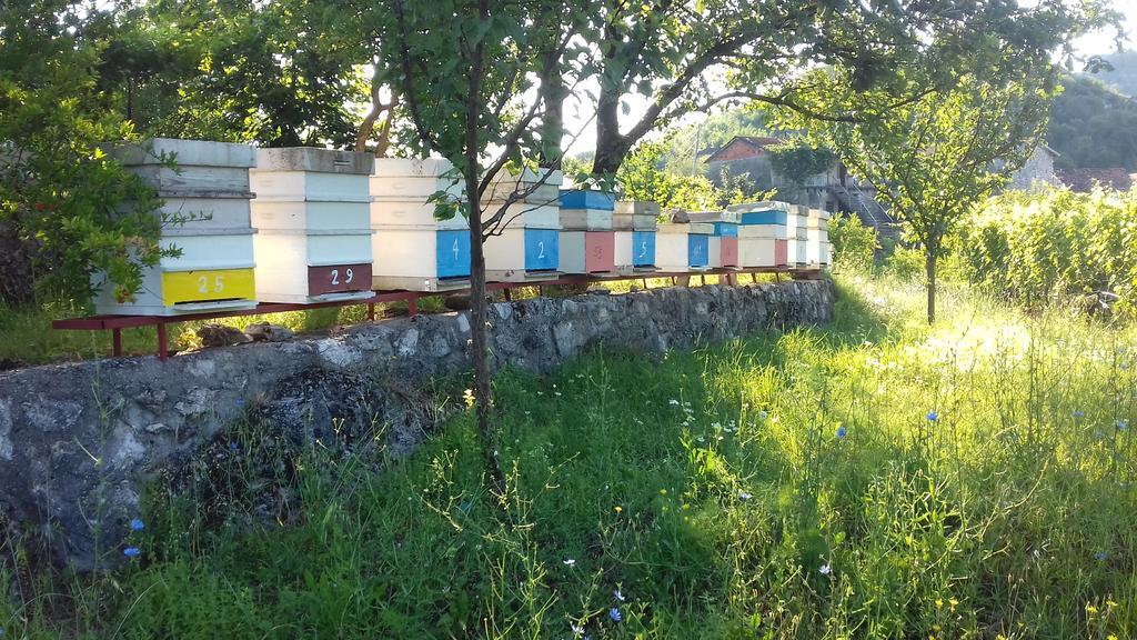 Village House - Novak Rijecani Rijeka Crnojevića Екстериор снимка